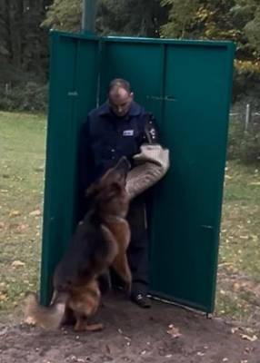 IMG-20251031-WA0005 IMG-20251031-WA0005