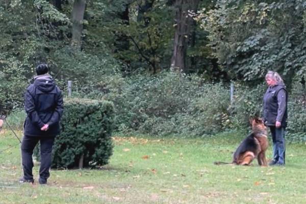 IMG-20251031-WA0006 IMG-20251031-WA0006