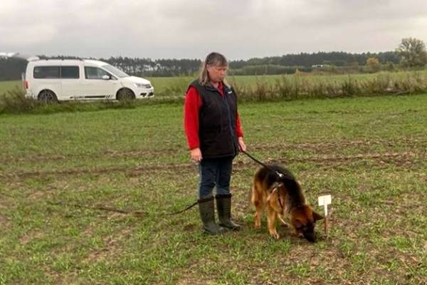 IMG-20251031-WA0007 IMG-20251031-WA0007