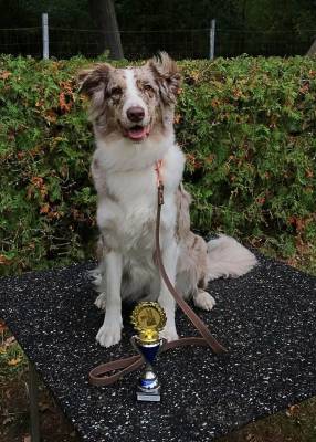 IMG-20251031-WA0015 IMG-20251031-WA0015