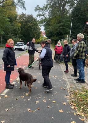 IMG-20251031-WA0027 IMG-20251031-WA0027