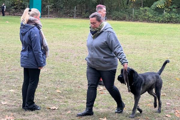 IMG-20251031-WA0030 IMG-20251031-WA0030