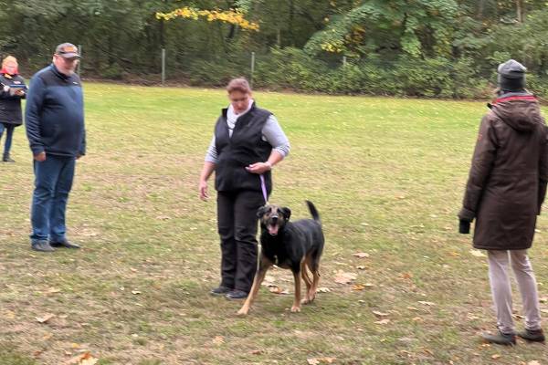 IMG-20251031-WA0031 IMG-20251031-WA0031