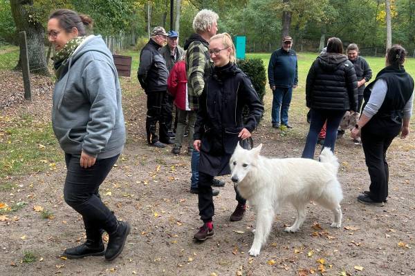 IMG-20251031-WA0034 IMG-20251031-WA0034