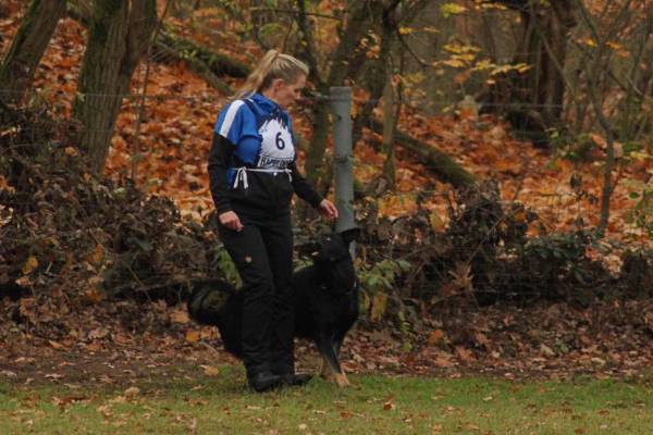 IMG-20251112-WA0001 IMG-20251112-WA0001