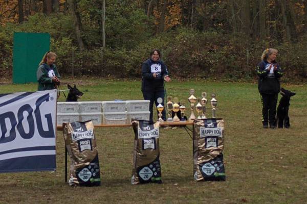 IMG-20251112-WA0002 IMG-20251112-WA0002