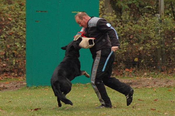 IMG-20251112-WA0003 IMG-20251112-WA0003