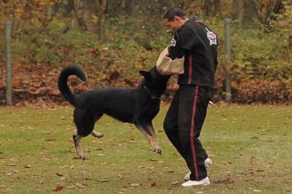 IMG-20251112-WA0004 IMG-20251112-WA0004