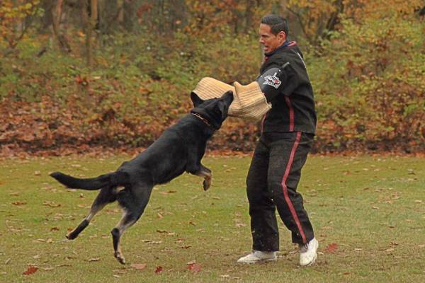 IMG-20251112-WA0005 IMG-20251112-WA0005