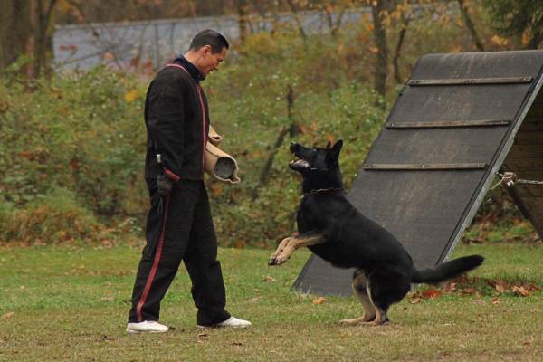 IMG-20251112-WA0006 IMG-20251112-WA0006