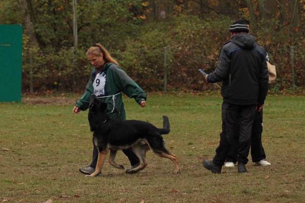 IMG-20251112-WA0008 IMG-20251112-WA0008