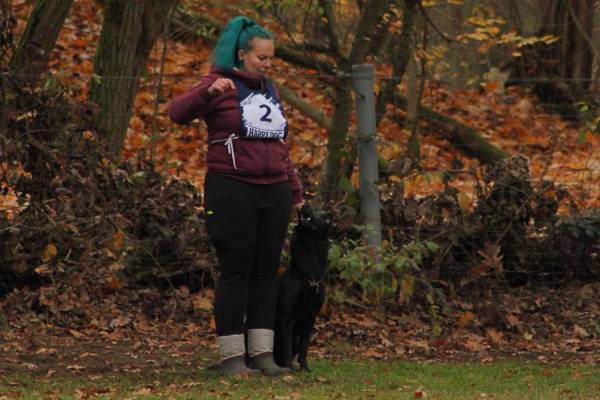 IMG-20251112-WA0010 IMG-20251112-WA0010