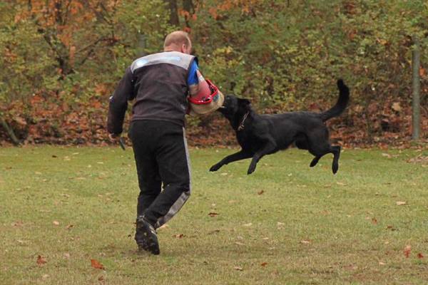 IMG-20251112-WA0012 IMG-20251112-WA0012