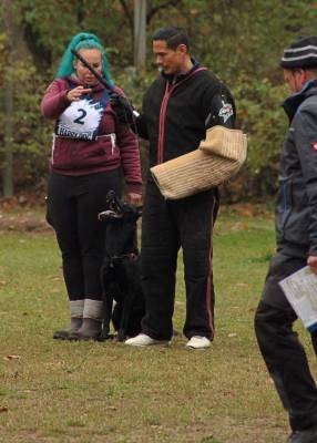 IMG-20251112-WA0014 IMG-20251112-WA0014