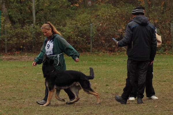 IMG-20251112-WA0015 IMG-20251112-WA0015