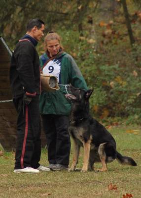 IMG-20251112-WA0017 IMG-20251112-WA0017