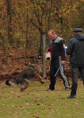 IMG-20251113-WA0002 IMG-20251113-WA0002