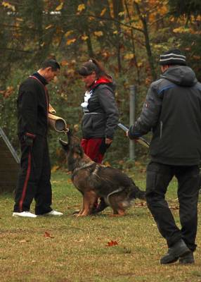 IMG-20251113-WA0005 IMG-20251113-WA0005