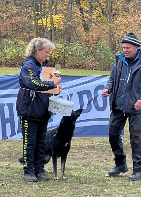 IMG-20251113-WA0006 IMG-20251113-WA0006