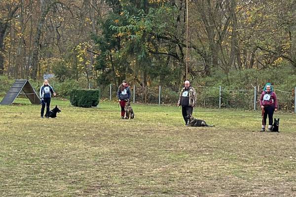 IMG-20251113-WA0009 IMG-20251113-WA0009