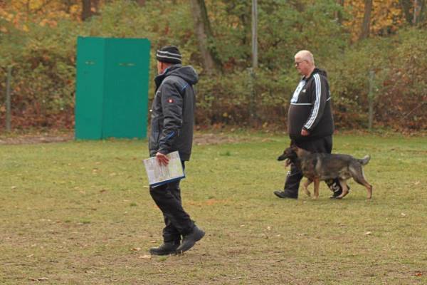 IMG-20251113-WA0010 IMG-20251113-WA0010