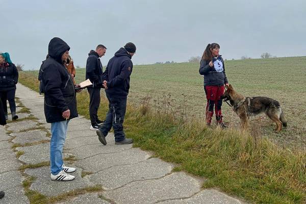 IMG-20251113-WA0013 IMG-20251113-WA0013