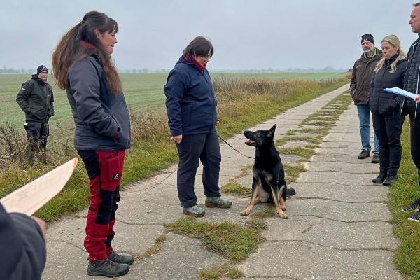 IMG-20251113-WA0017 IMG-20251113-WA0017