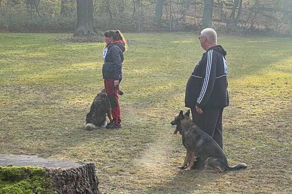 IMG-20251113-WA0022 IMG-20251113-WA0022