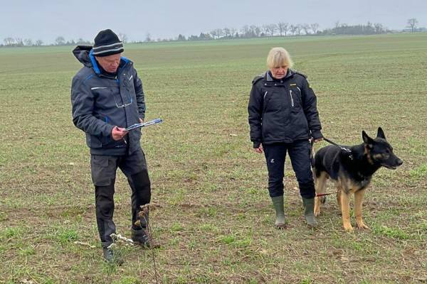 IMG-20251113-WA0027 IMG-20251113-WA0027